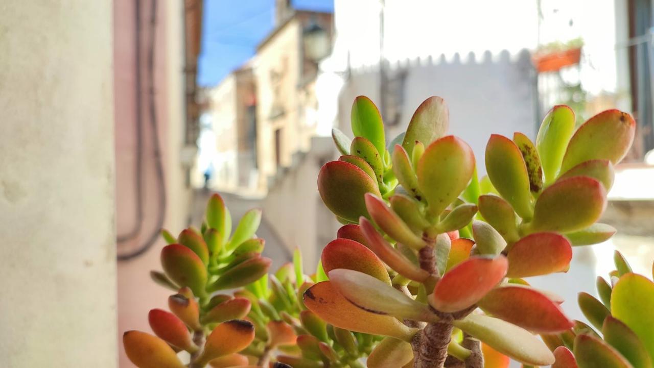 La Casina De Piedra Encanto - Parte Antigua De Caces エクステリア 写真